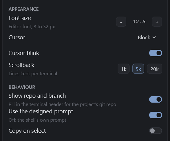 Appearance and behaviour settings: font size, cursor style, cursor blink, scrollback, repo pill, designed prompt toggle and copy on select